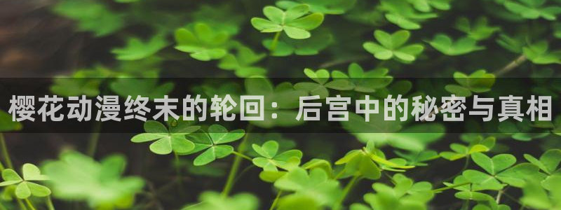 omofun 官网