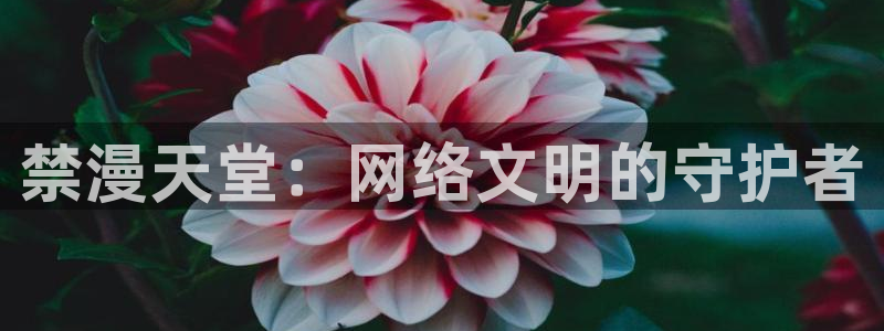 omofun动漫官网app下载