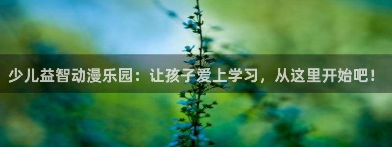 动漫之家链接
