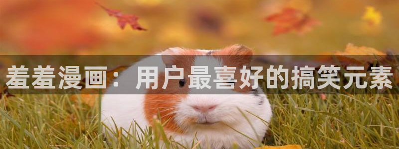 女神降临omofun动漫