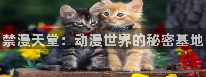 omofun动漫下载最新