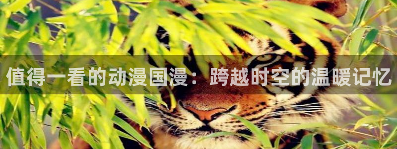 动漫之家正版