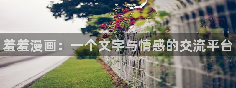 omofun全新版官网入口