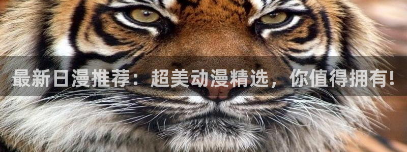 omofun最新纯净版