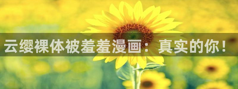 omofun动漫官方版下载