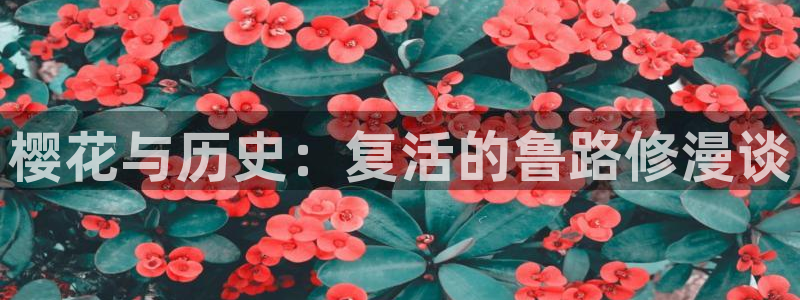 omofun免费看动漫