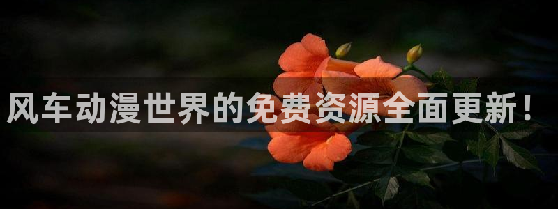 omofun网页版入口处