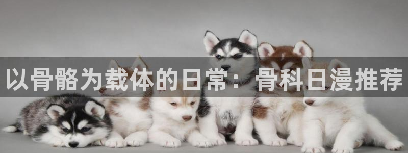 omofun电脑版