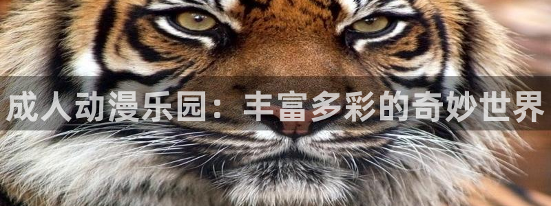 omofun正版官方下载链接