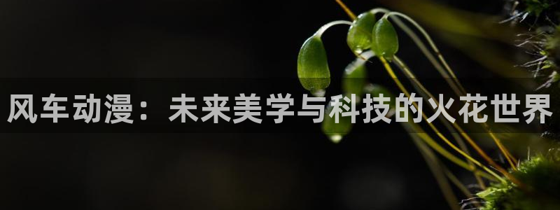 omofun动漫在线