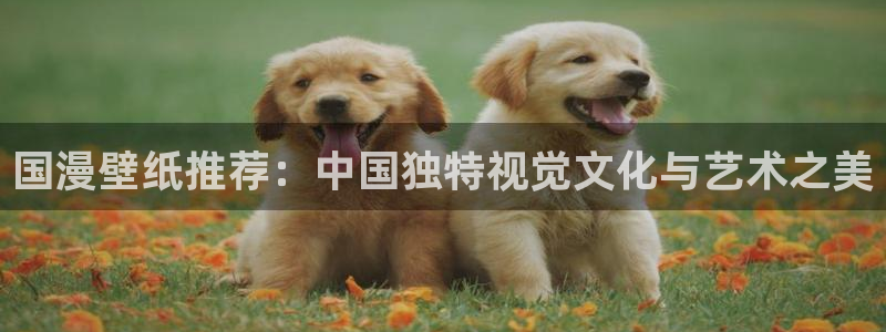 omofun网站网页版