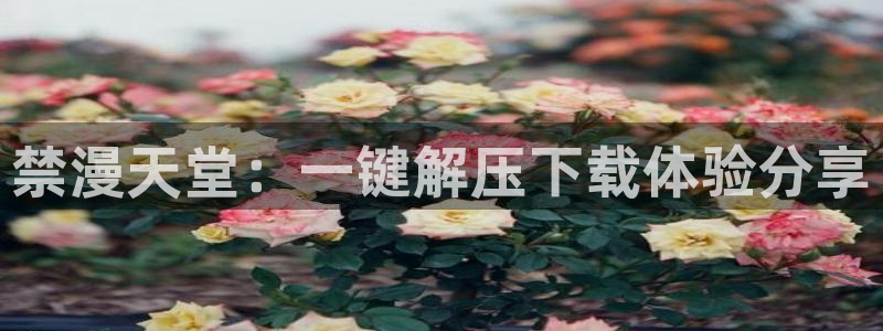 omofun动漫王国