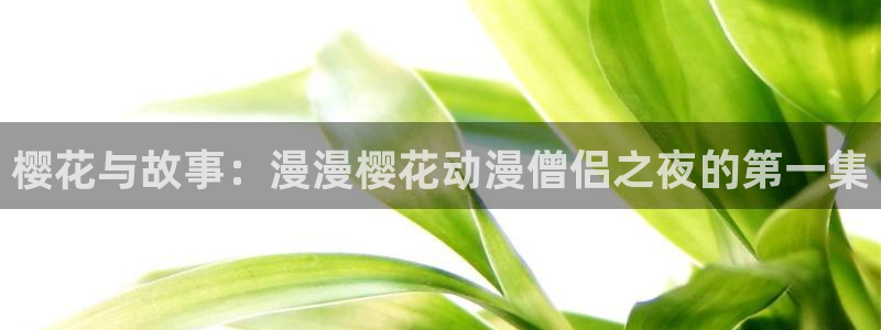 omofun动漫在线观看看
